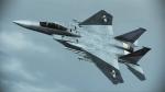 MSFS F-15C Eagle Ace Combat Zero Galm Team Textures